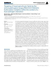 Targeting of Insect Epicuticular Lipids by the Entomopathogenic Fungus Beauveria Bassiana: Hydrocarbon Oxidation Within the Context of a Host-Pathogen Interaction