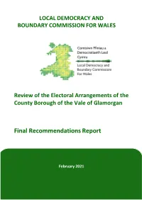VOG Final Report