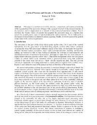 Cortical Neurons and Circuits: a Tutorial Introduction Richard B