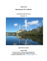 Delta Coal Mannering & CVC Collieries