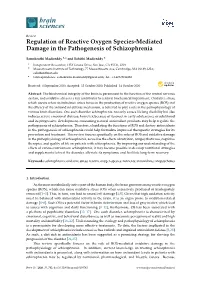 Regulation of Reactive Oxygen Species-Mediated Damage in the Pathogenesis of Schizophrenia