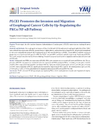 PLCE1 Promotes the Invasion and Migration of Esophageal Cancer Cells by Up-Regulating the Pkcα/NF-Κb Pathway