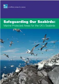 Marine Protected Areas for the UK's Seabirds