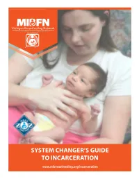 System Changer's Guide to Incarceration
