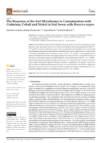 The Response of the Soil Microbiome to Contamination with Cadmium, Cobalt and Nickel in Soil Sown with Brassica Napus