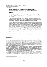 Aggregation of Biotinylated Polymeric Microspheres Induced by Interaction with Avidin*