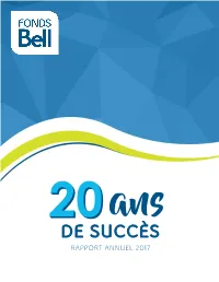 De Succès Rapport Annuel 2017