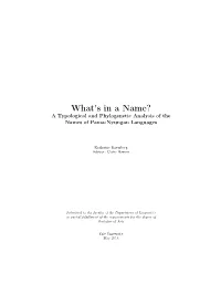 What's in a Name? a Typological and Phylogenetic