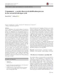 Comammox—A Newly Discovered Nitrification Process in the Terrestrial Nitrogen Cycle