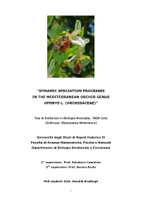 “Dynamic Speciation Processes in the Mediterranean Orchid Genus Ophrys L