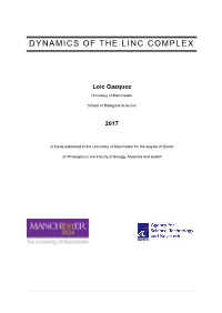 Dynamics of the Linc Complex