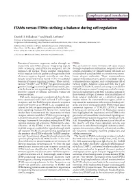 Itams Versus Itims: Striking a Balance During Cell Regulation