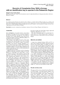 Records of Ceroplastes Gray 1828 in Europe, with an Identification Key to Species in the Palaearctic Region