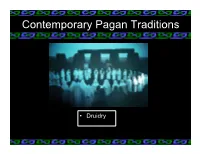 002 Druidry Combo 2013.Pptx