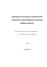 Consequences of Sequence Variants for the Expression of a Dual Targeting Novel Format Antibody Construct
