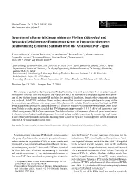 Detection of a Bacterial Group Within the Phylum Chloroflexi And
