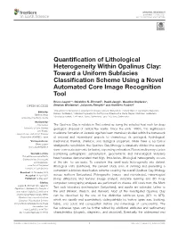 Quantification of Lithological Heterogeneity Within Opalinus Clay