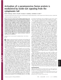 Activation of a Paramyxovirus Fusion Protein Is Modulated by Inside-Out Signaling from the Cytoplasmic Tail