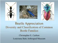 Beetle Appreciation Diversity and Classification of Common Beetle Families Christopher E