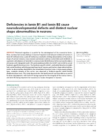 Deficiencies in Lamin B1 and Lamin B2 Cause Neurodevelopmental Defects and Distinct Nuclear Shape Abnormalities in Neurons
