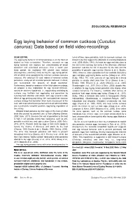 Egg Laying Behavior of Common Cuckoos (Cuculus Canorus): Data Based on Field Video-Recordings