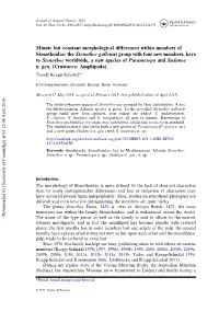 Minute but Constant Morphological Differences Within