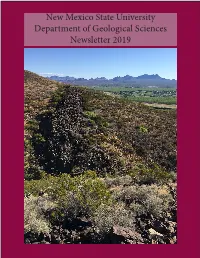 Newsletter 2019 (PDF)