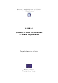 The Effect of Linear Infrastructures on Habitat Fragmentation