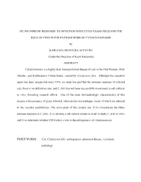 Feline Immune Response to Infection with Cytauxzoon Felis and The
