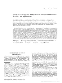 Molecular Cytogenetic Analysis in the Study of Brain Tumors: Findings and Applications