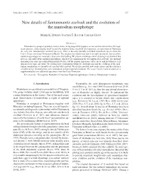 New Details of Santanmantis Axelrodi and the Evolution of the Mantodean Morphotype