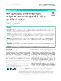 RNA Sequencing and Bioinformatics Analysis of Human Lens Epithelial