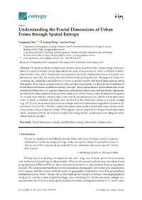 Understanding the Fractal Dimensions of Urban Forms Through Spatial Entropy