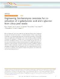 Engineering Saccharomyces Cerevisiae for Co-Utilization of D
