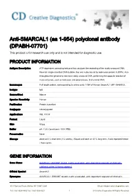 Anti-SMARCAL1 (Aa 1-954) Polyclonal Antibody (DPABH-07701) This Product Is for Research Use Only and Is Not Intended for Diagnostic Use