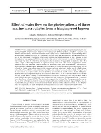 Effect of Water Flow on the Photosynthesis of Three Marine Macrophytes from a Fringing-Reef Lagoon