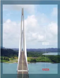 BRIDGES Global Bridge Network Iconic Infrastructures