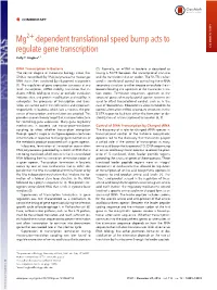 Mg2+-Dependent Translational Speed Bump Acts to Regulate