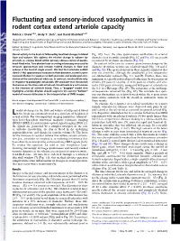 Fluctuating and Sensory-Induced Vasodynamics in Rodent Cortex Extend Arteriole Capacity