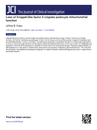 Loss of Krüppel-Like Factor 6 Cripples Podocyte Mitochondrial Function