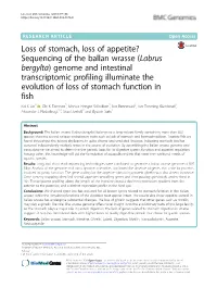 Sequencing of the Ballan Wrasse (Labrus Bergylta) Genome and Intestinal Transcriptomic Profiling Illuminate the Evolution of Loss of Stomach Function in Fish Kai K
