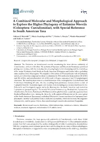 A Combined Molecular and Morphological Approach to Explore