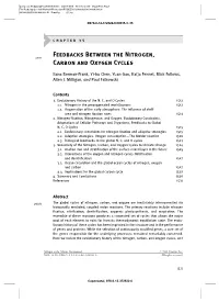 Feedbacks Between the Nitrogen, Carbon and Oxygen Cycles 1513