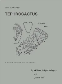 Tephrocactus