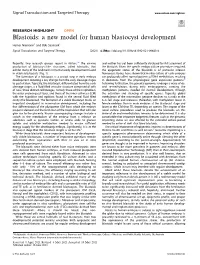 A New Model for Human Blastocyst Development