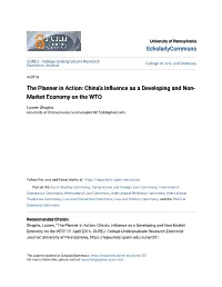 China's Influence As a Developing and Non-Market Economy on The