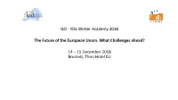 Presentation by Mihai Sebe: the Rise of Eurosceptic and Populist Parties in the EU