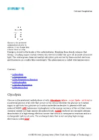 Cellular Respiration