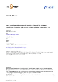 Dense Active Matter Model of Motion Patterns in Confluent Cell Monolayers Henkes, Silke; Kostanjevec, Kaja; Collinson, J