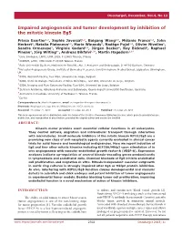 Impaired Angiogenesis and Tumor Development by Inhibition of the Mitotic Kinesin Eg5